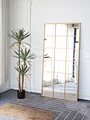 Modern Industrial Grid Black Full-Length Mirror with Gold finish and plant
